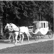 Карета, запряженная лошадьми - самый престижный транспорт до начала XX века
