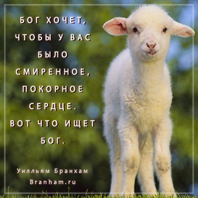 Картинка цитаты