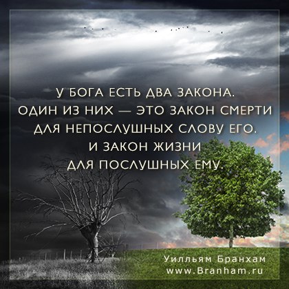 Картинка цитаты