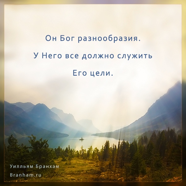 Картинка цитаты