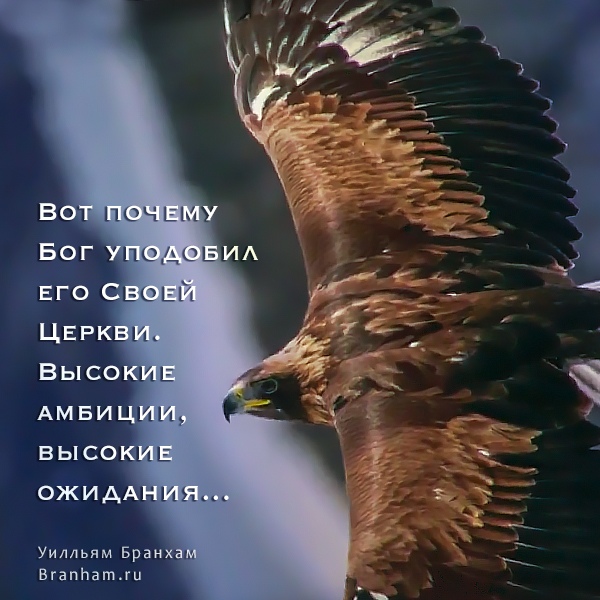 Картинка цитаты