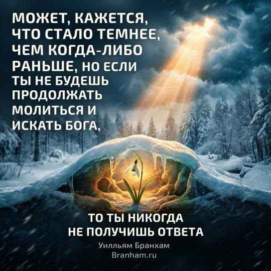 Картинка цитаты