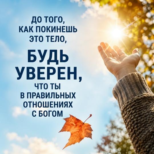Картинка цитаты